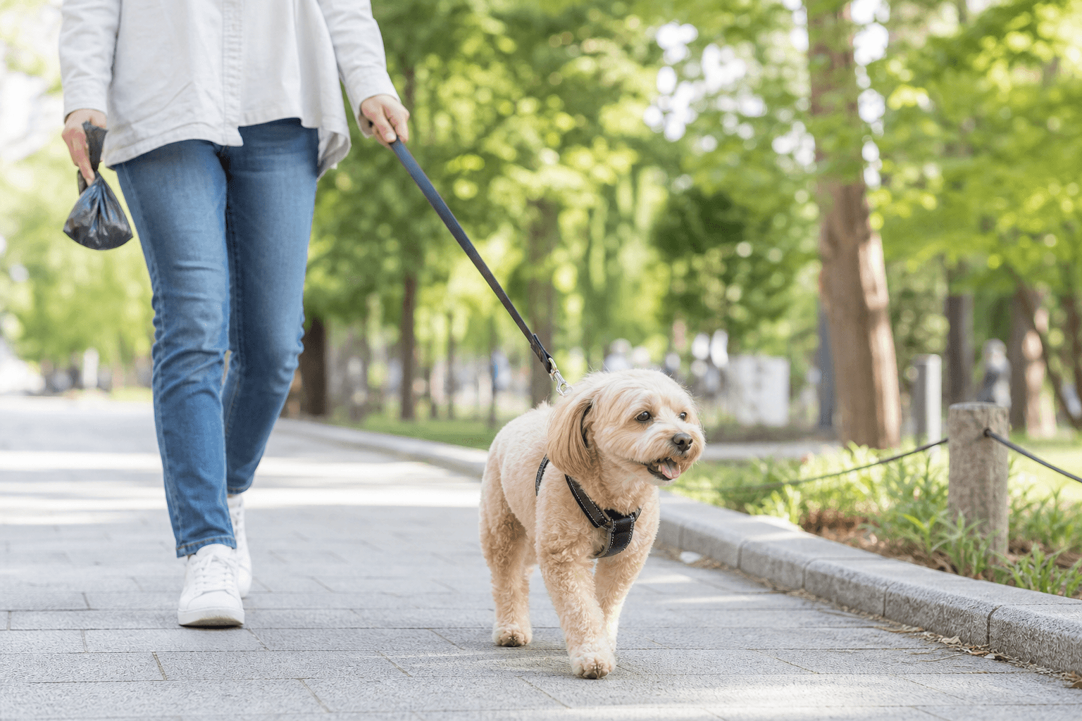 犬のうんちが細い・リボン状になったときの観察ポイント